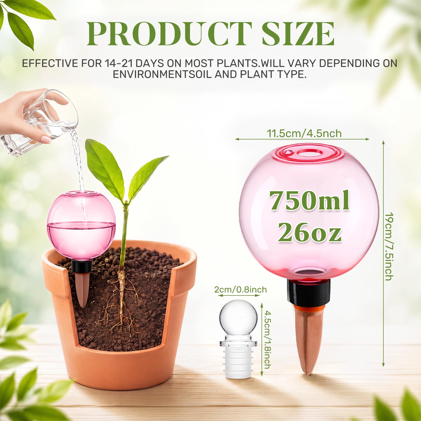 Confezione da 4 globi autoirriganti extra large da 737 g, con