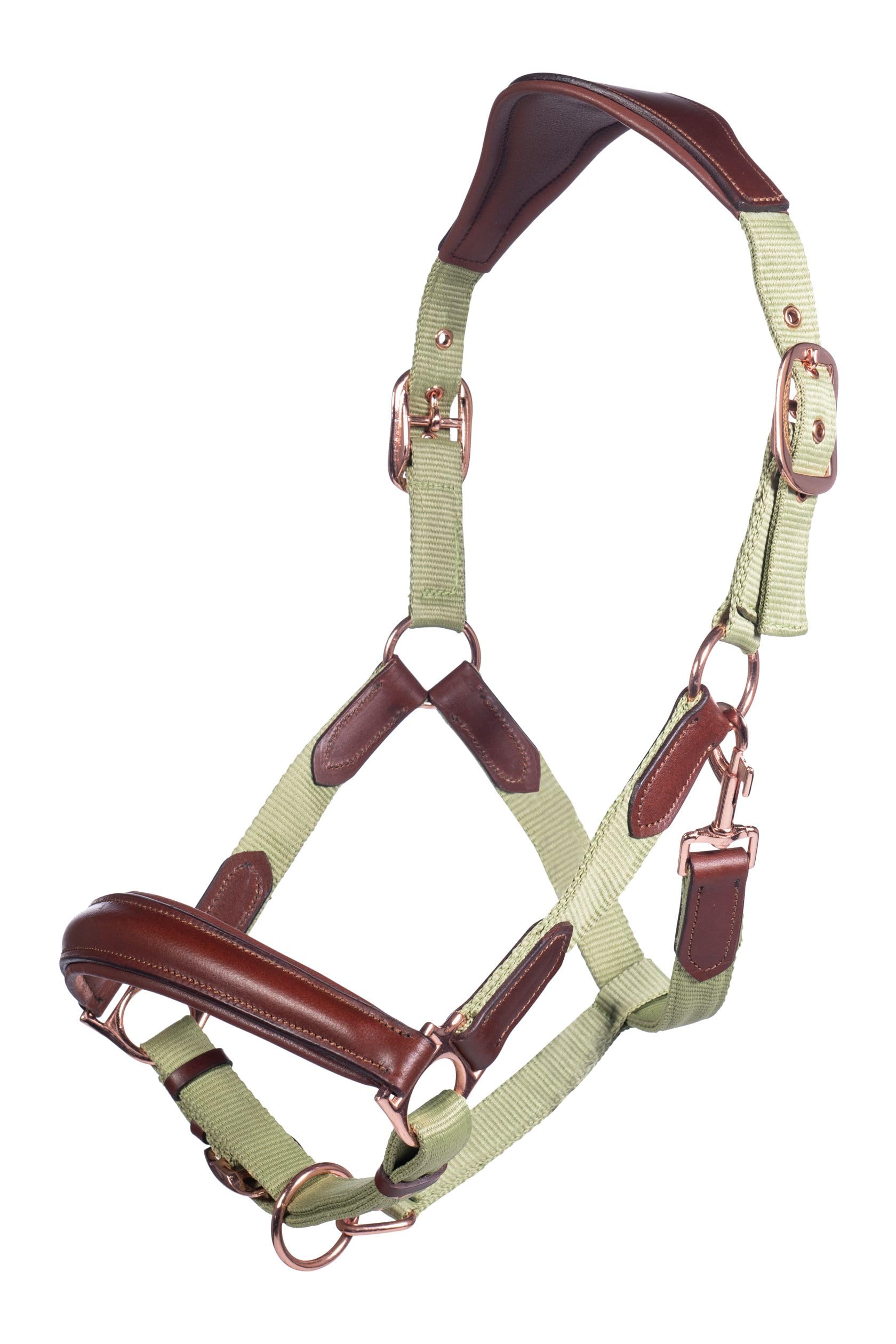 Cabezada HKM Edinburgh pistacho Full accesorio ecuestre de hípica 3