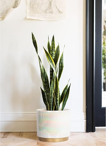 Miniatura 5 de Macetas blancas de interior para plantas, maceta de cerámica con orificio de drenaje, 9.6 pulgadas + 7.6 pulgadas + 6 pulgadas. Maceta de orquídea