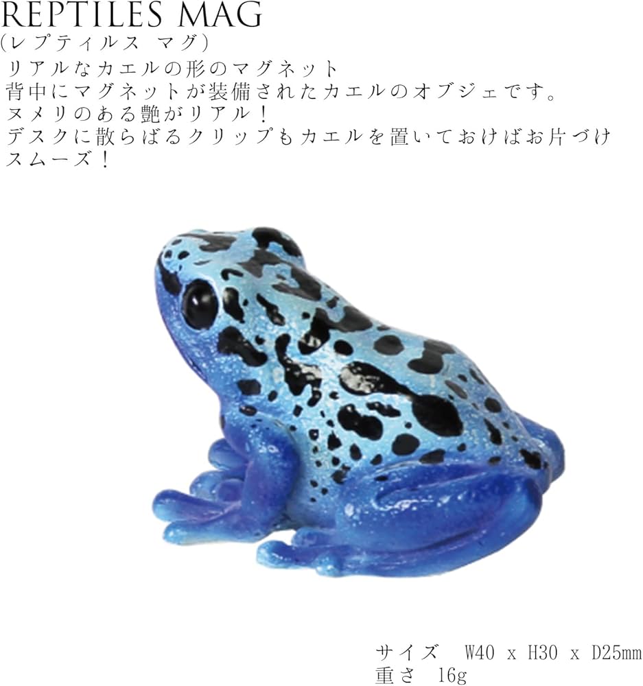 Amazon.co.jp: コバルトヤドクガエル リアル カエル 蛙 オブジェ 置物