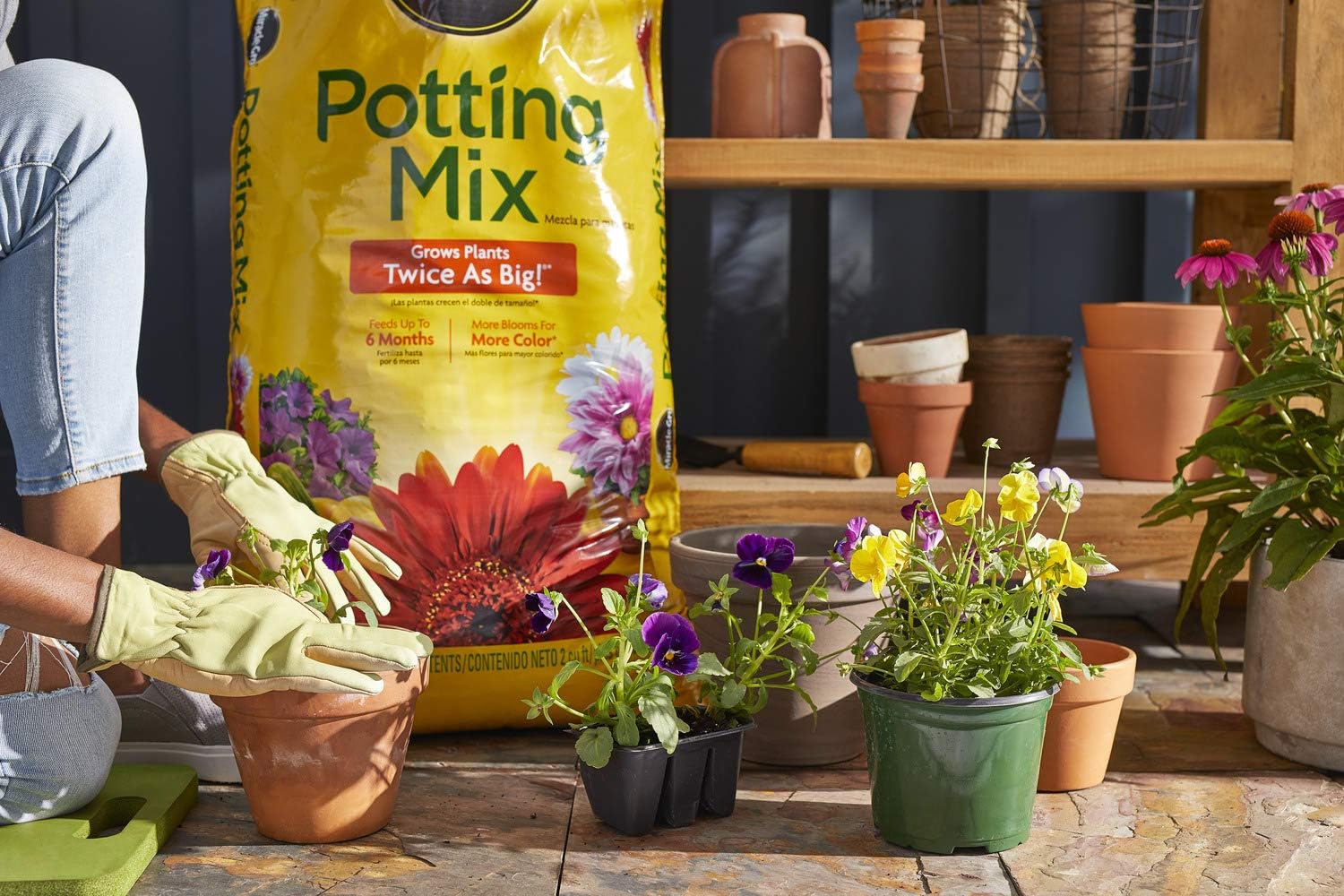 Miracle-Gro Potting Mix 2 pack + Free Shipping