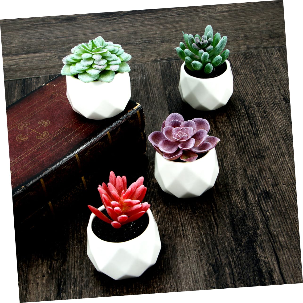 Alipis 4piezas Suculentas Artificiales Decorativas Alocasia Echeveria Medinilla Cactus con Macetas