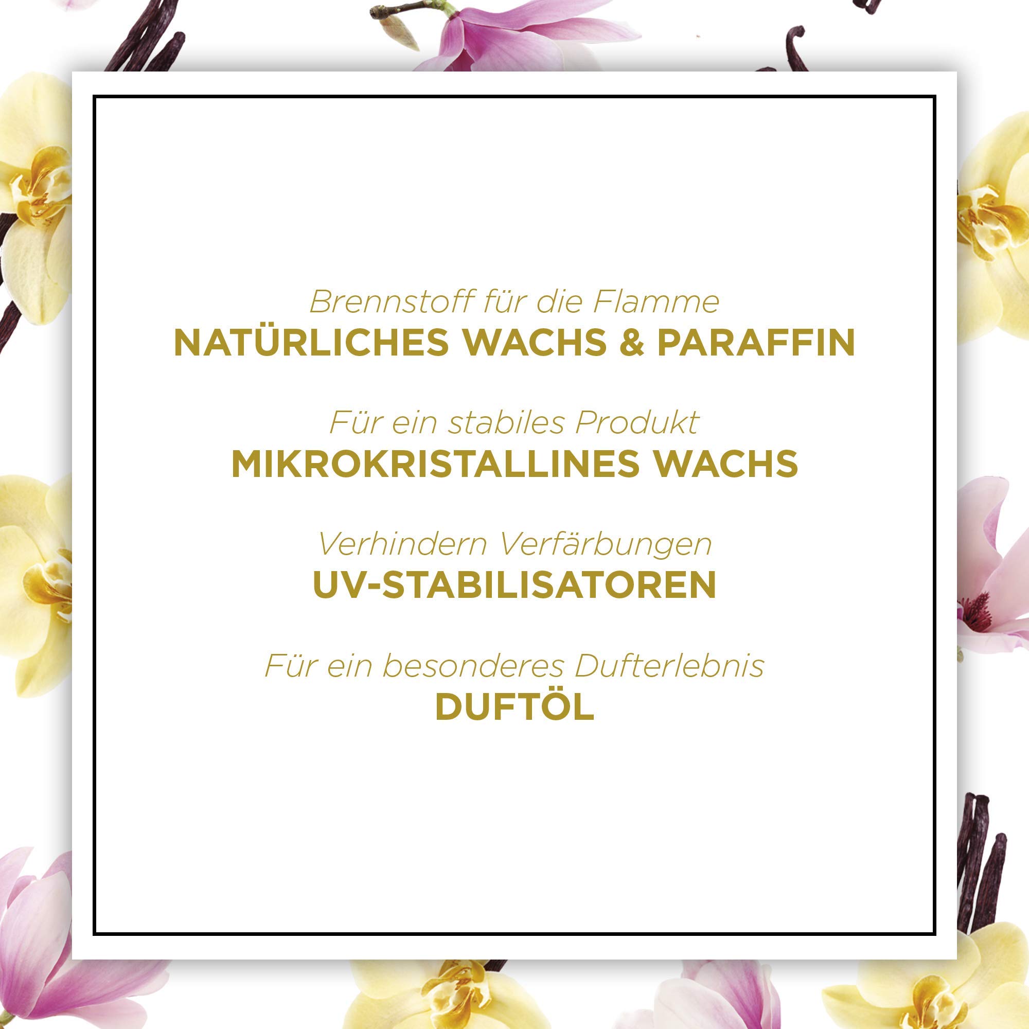 Botanica by Air Wick Duftkerze – Duft: Himalaya-Magnolie & Vanille – Nachhaltig hergestellt mit natürlichen Inhaltsstoffen – 6 x Kerze im Glas