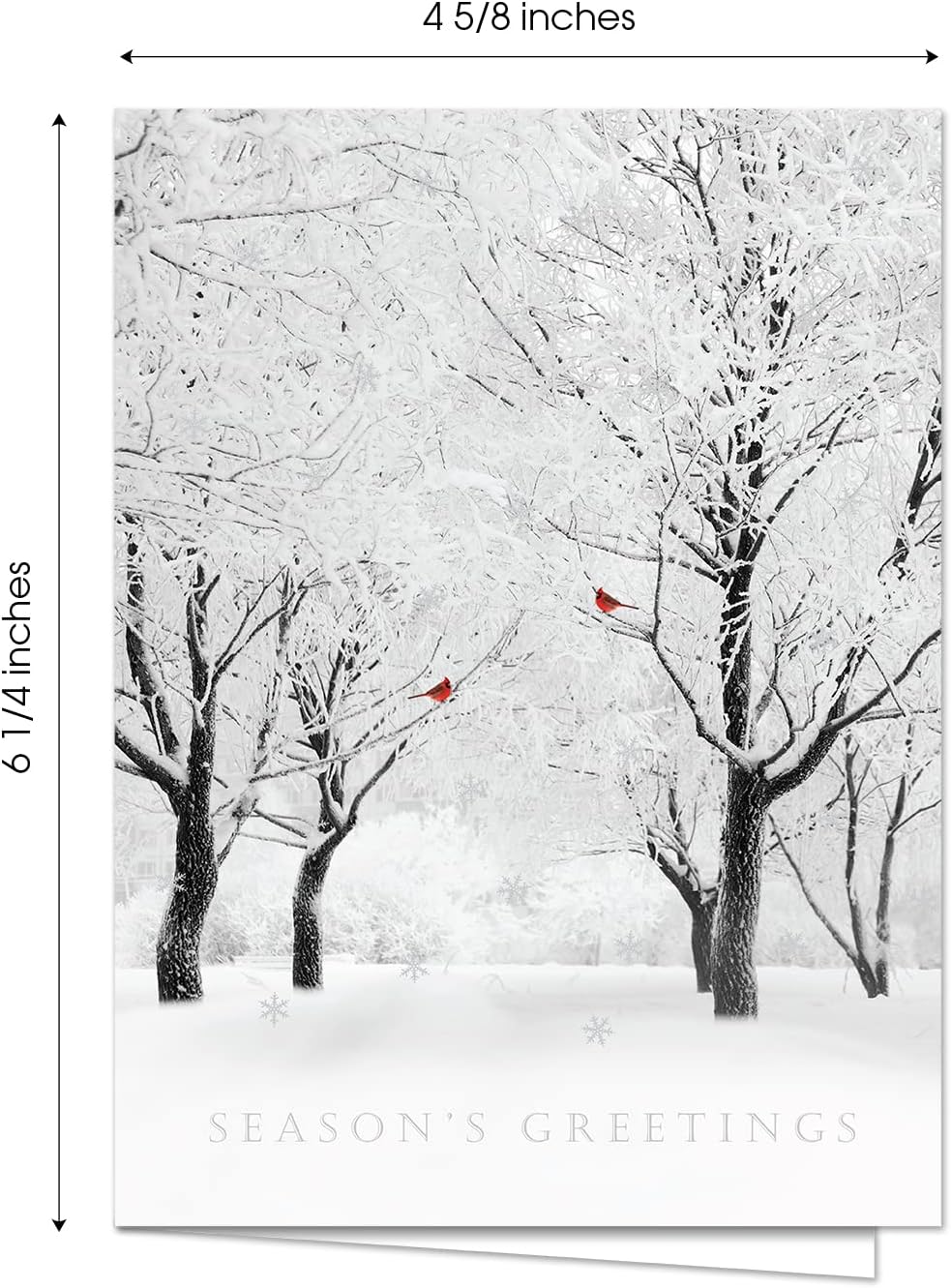 Masterpiece Wonderland Landscape Holiday Cards / 12 Boxed Silver Foil Christmas Cards With White Envelopes / 4 5/8" x 6 1/4" Folded Greeting Cards With Inside Verses / 4 Winter Scenery Card Designs