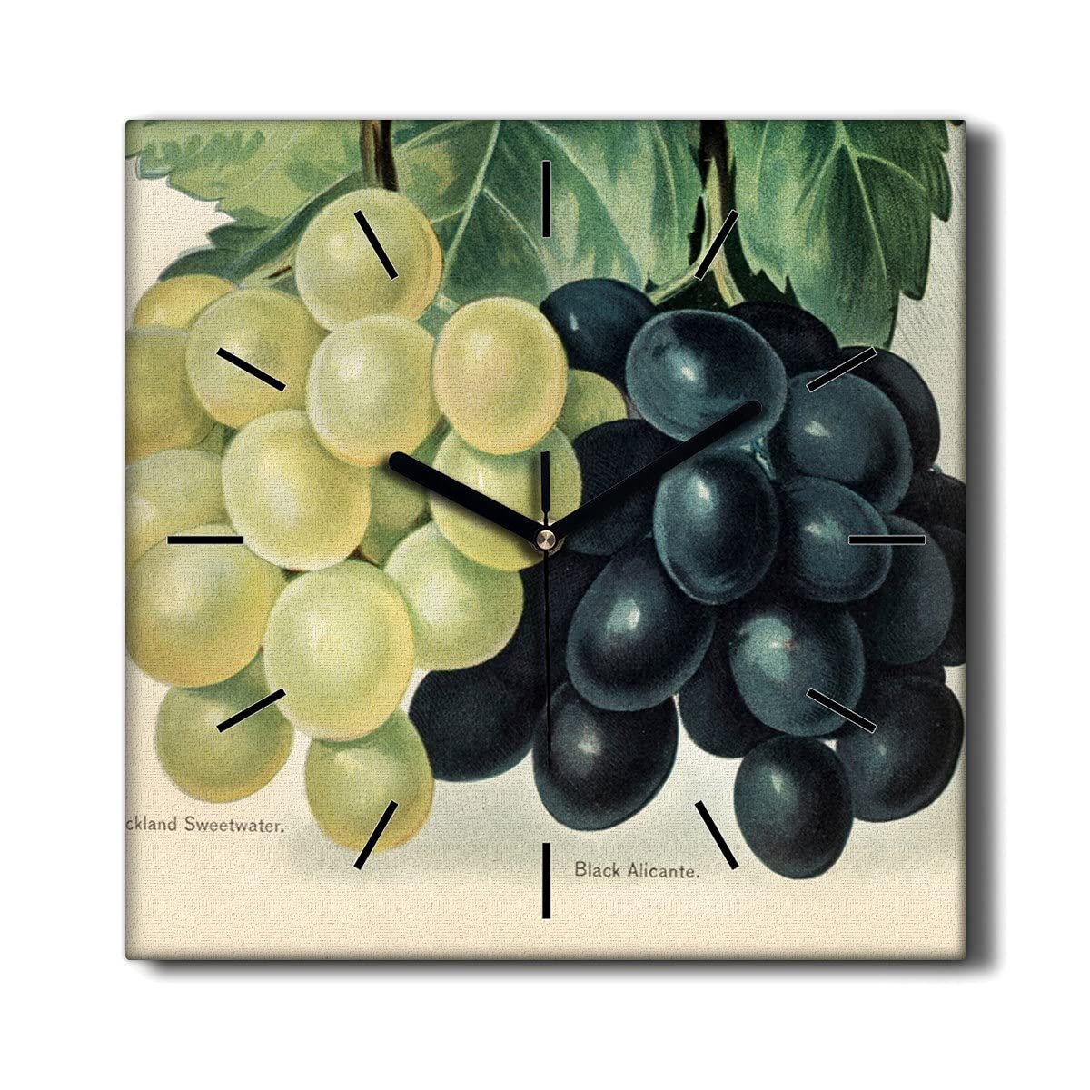 Horloge murale 30x30cm sans tic-tac Coloray déco toile salon motif raisins fruits