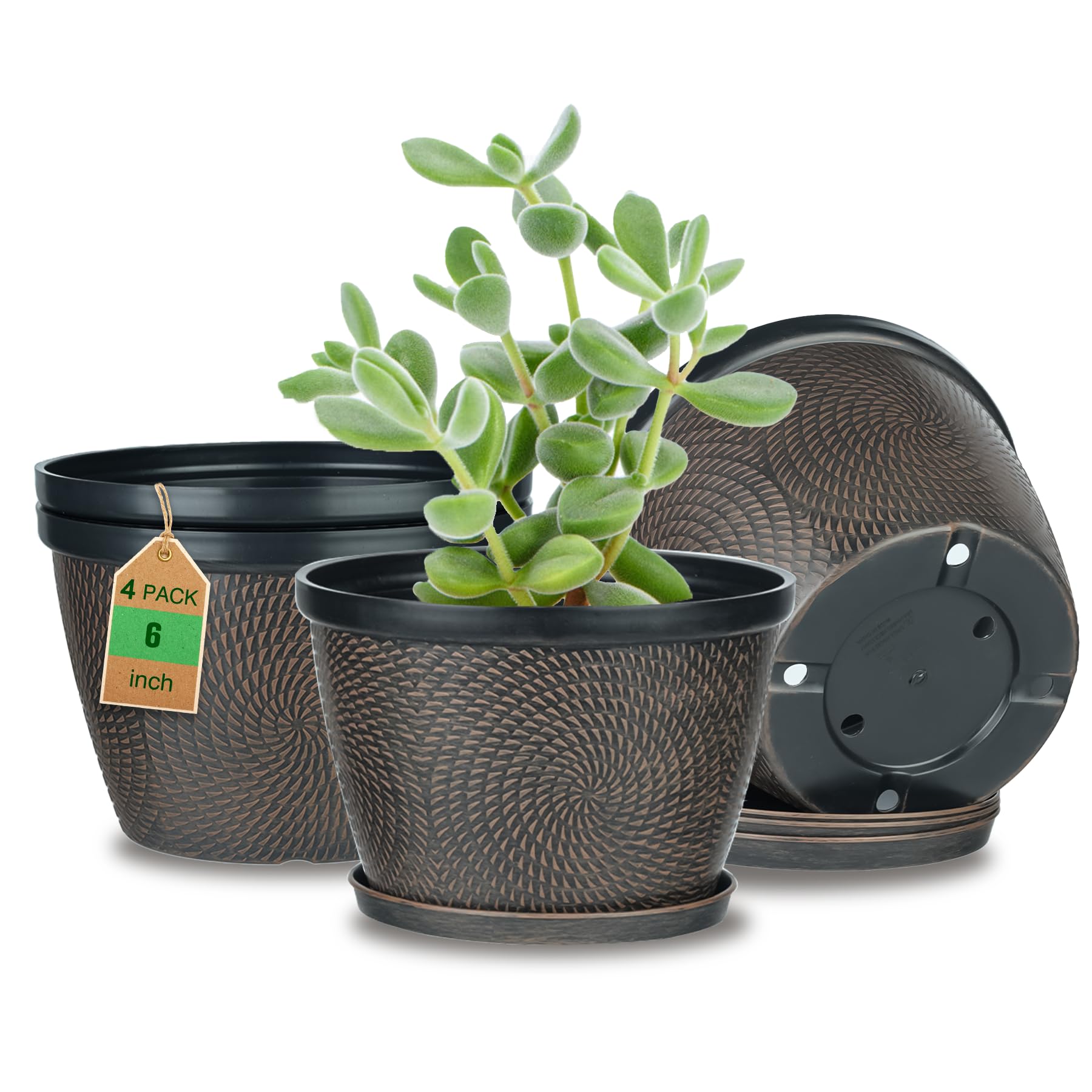 Quarut Circle Pattern Pots