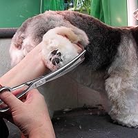 Vista 7 de PURPLEBIRD Tijeras curvadas hacia abajo de 7 pulgadas para peluquería para perros, tijeras texturizadoras para adelgazamiento de mascotas, seguridad