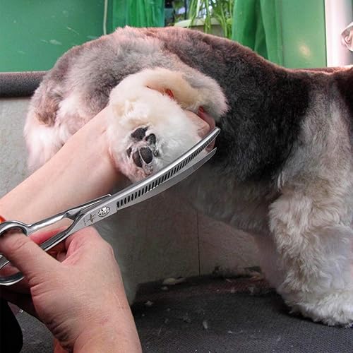 Miniatura 7 de PURPLEBIRD Tijeras curvadas hacia abajo de 7 pulgadas para peluquería para perros, tijeras texturizadoras para adelgazamiento de mascotas, seguridad