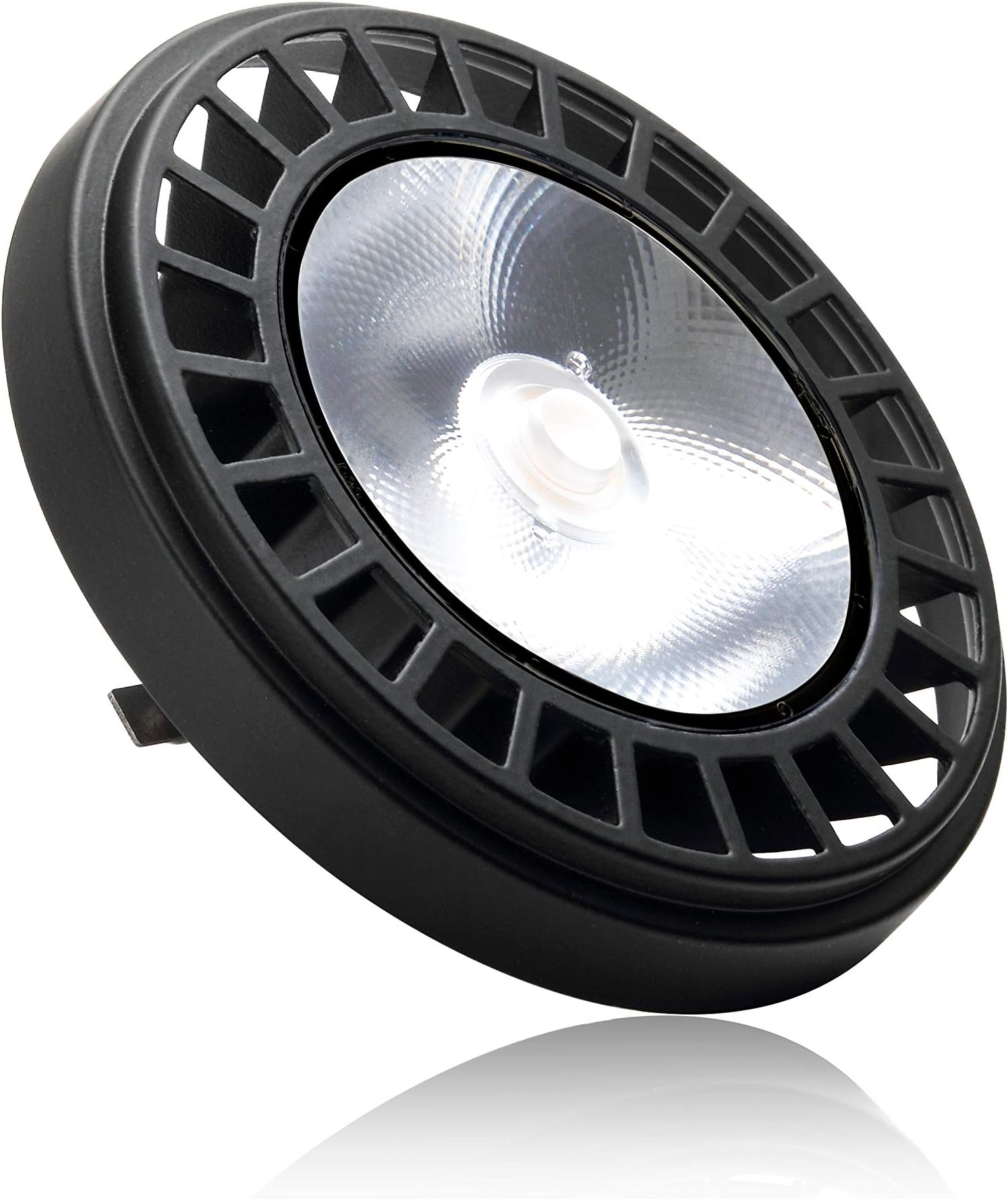 PARMIDA LED PAR36 Light Bulb, 15W (100W Equivalent), IP67 Wet Location Rated, Landscape Garden Light, 12V AC/DC, 1000lm, 5000K (Day Light)