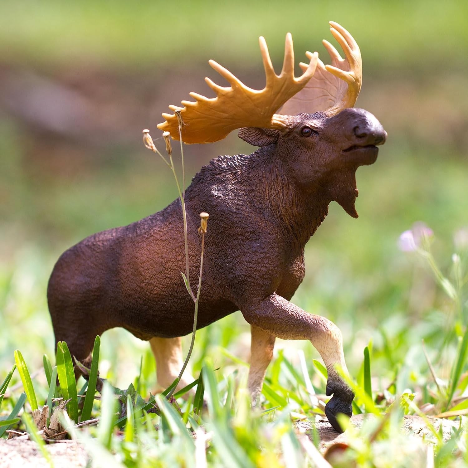 Safari- Elk Animals, Multicoloured (S113289)