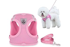 Yorkie Puppy Harness: Escape-Proof Vest Harness for Safe Walks