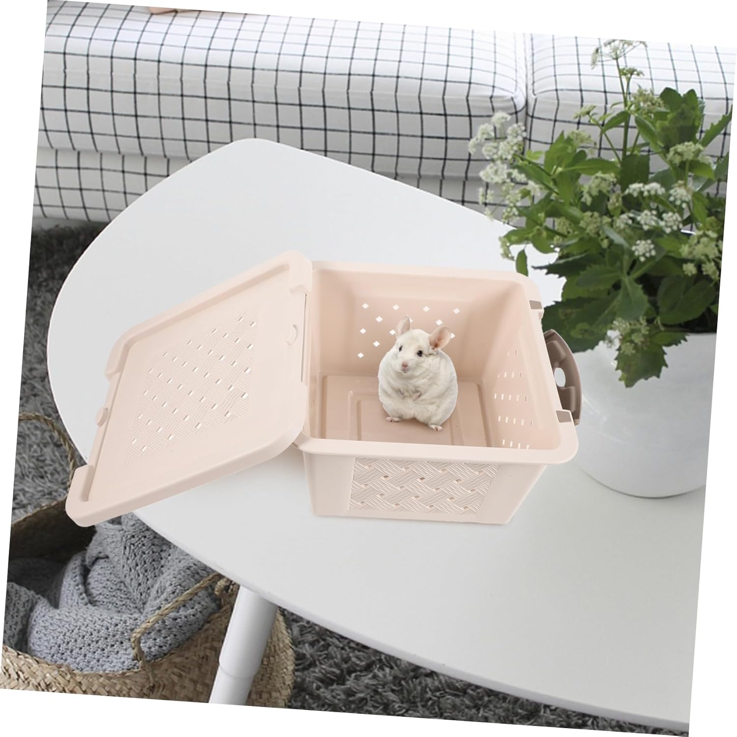 Happyyami Pet Carrying Box for Small Animals with Breathable Ventilation Safe Travel Carrier for Hamster Guinea Rat and Bird Plastic Animal Travel Container