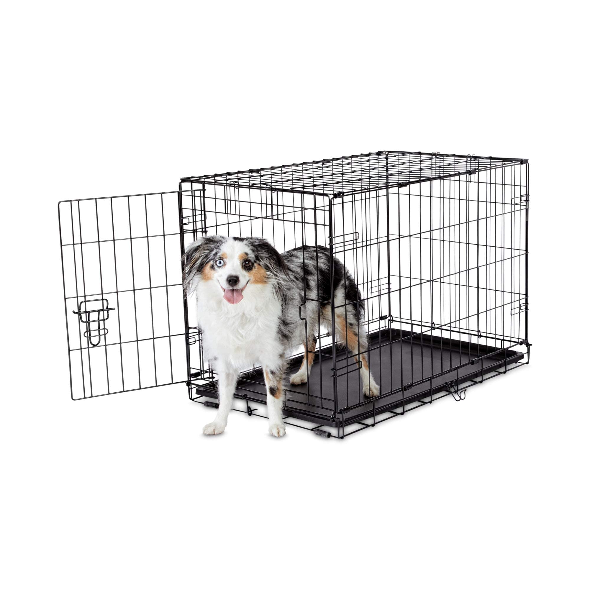 EveryYay Essentials 2Door Folding Dog Crate, L X W X H