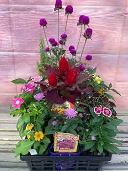 71GdtcXjWSL._AC_UF350,