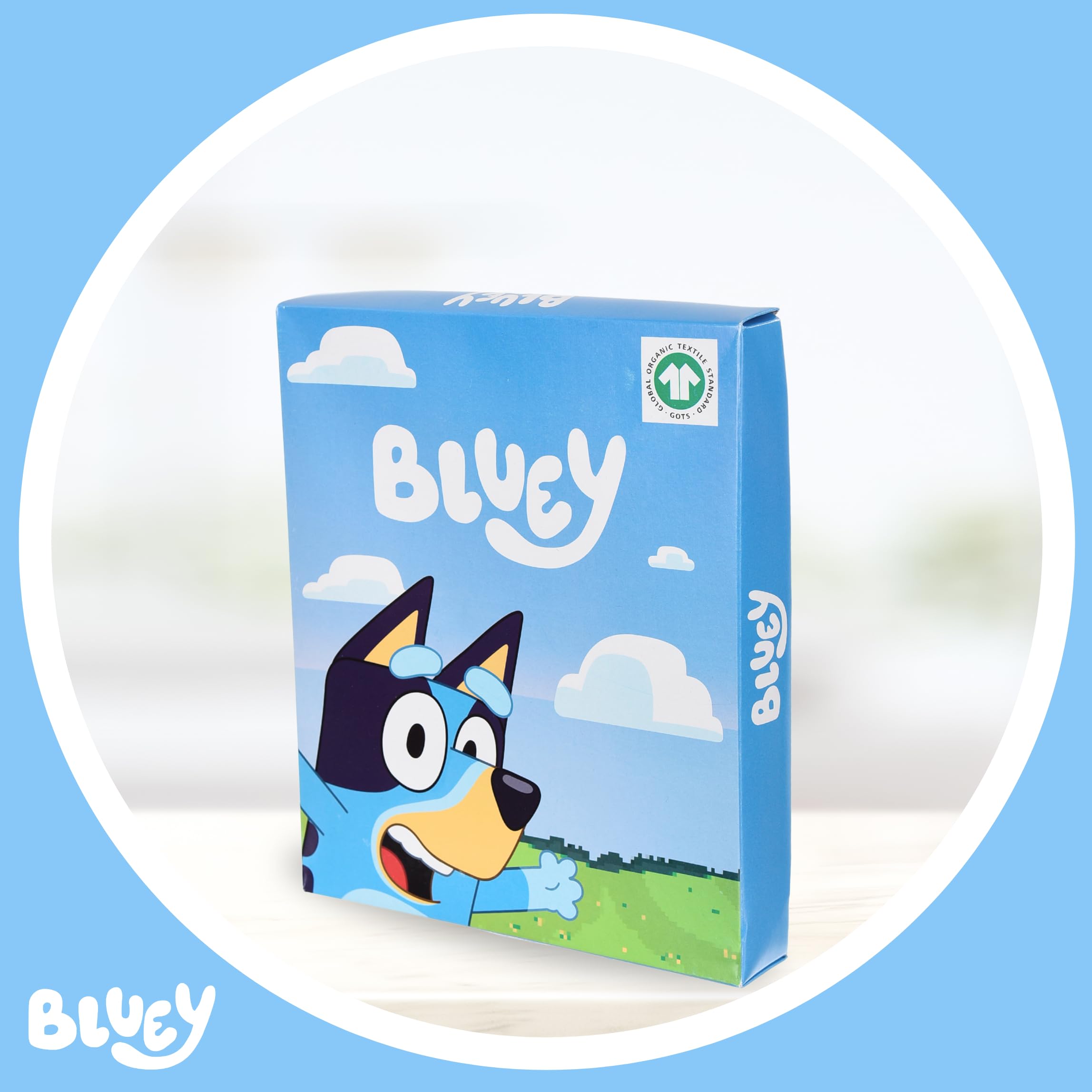 Bluey Camiseta y Pantalón Corto para Niño, Pijama Conjunto 2 Piezas para Niños, Incluye Caja de Regalo, Tallas 3 a 6 Años