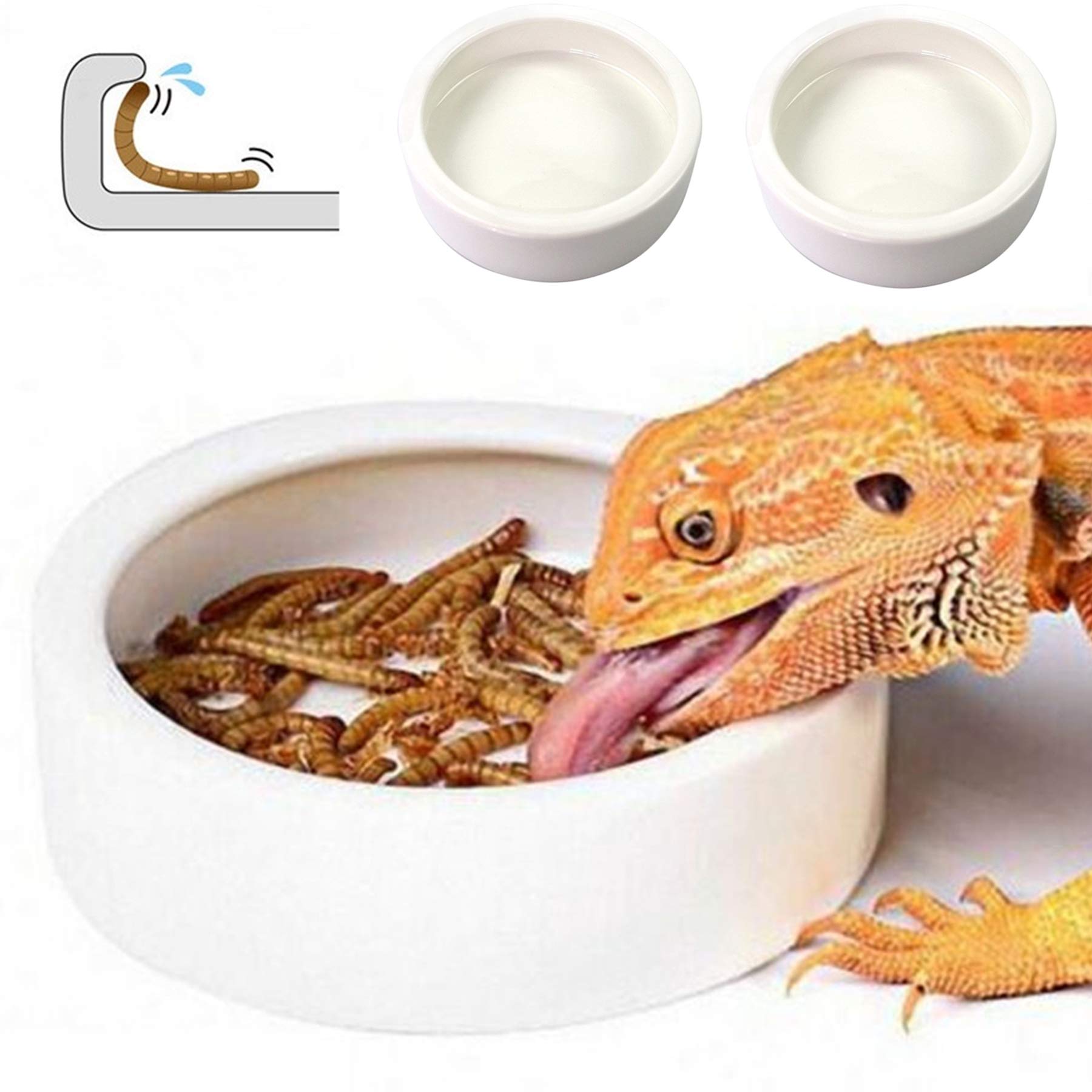 HELIME Reptile Food Dish Bowl
