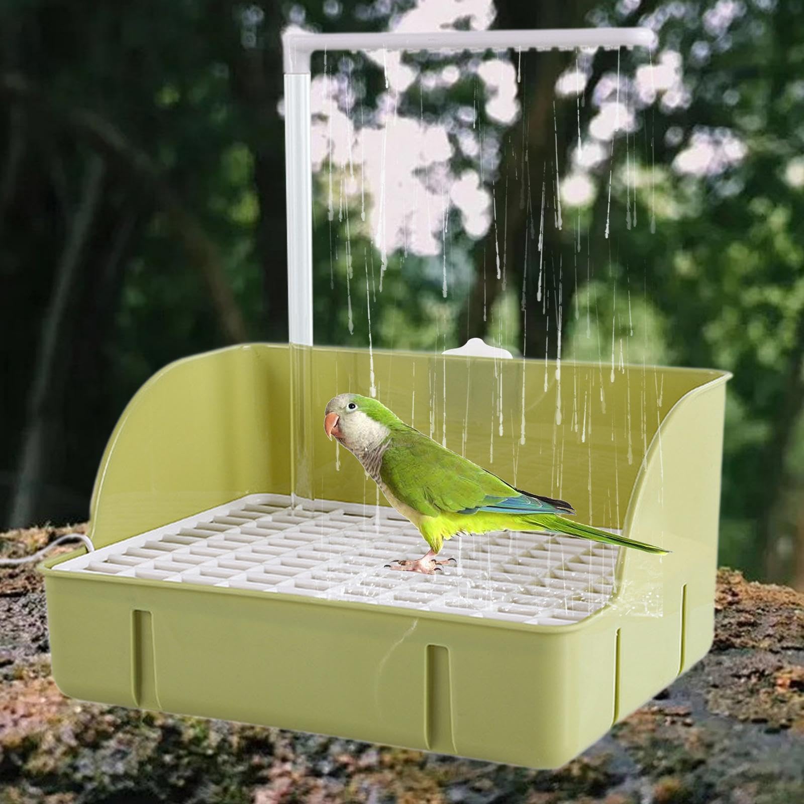 Système de Bain Automatique pour Oiseaux, Distributeur d'eau pour Perroquets, Accessoires de Piscine pour Conures, Vert