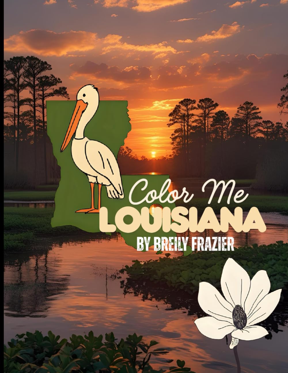 Color Me Louisiana