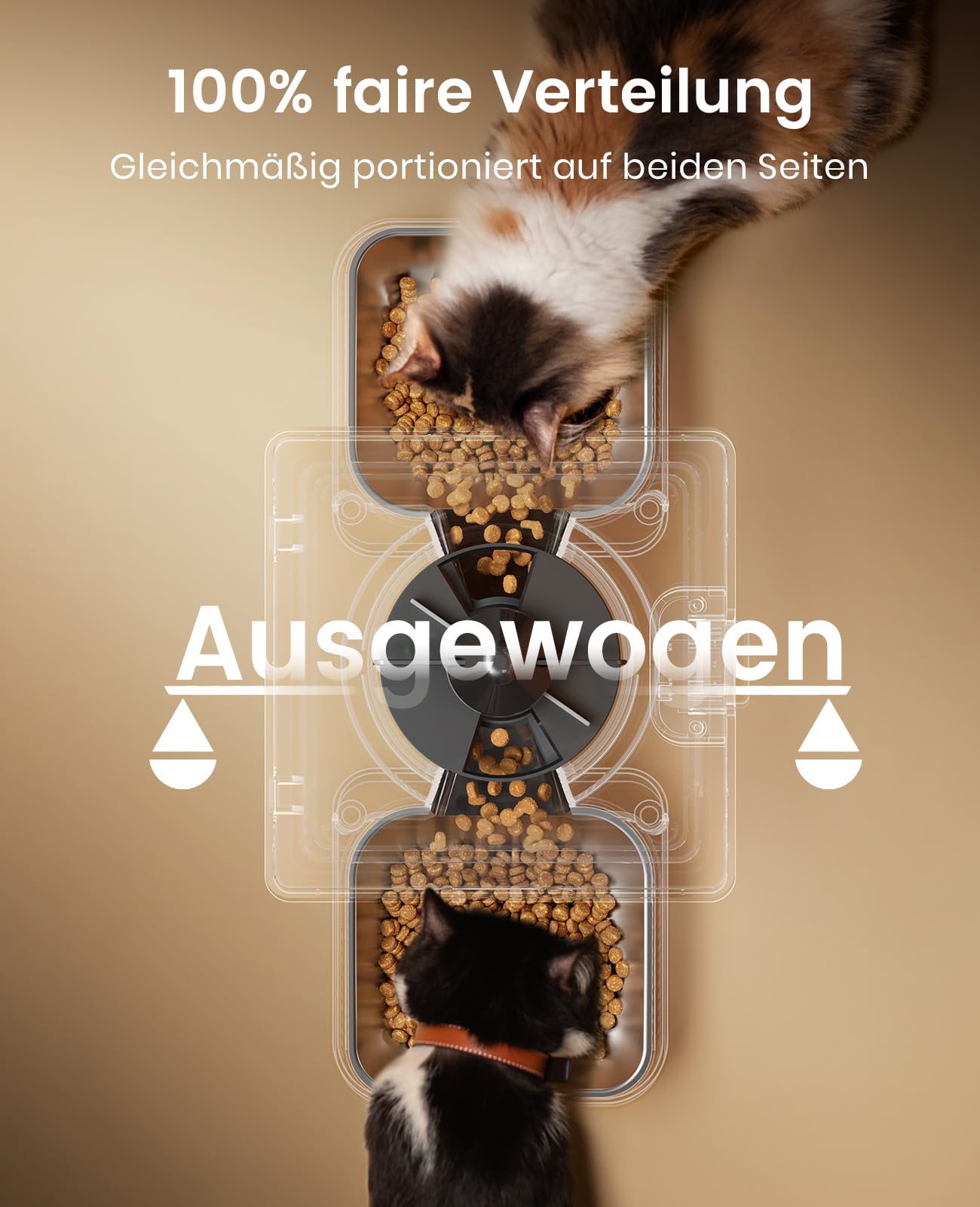 oneisall 5L Futterautomat Katze 2 Näpfe, Katzenfutter Automat mit Edelstahlschüssel, Voice Recorder