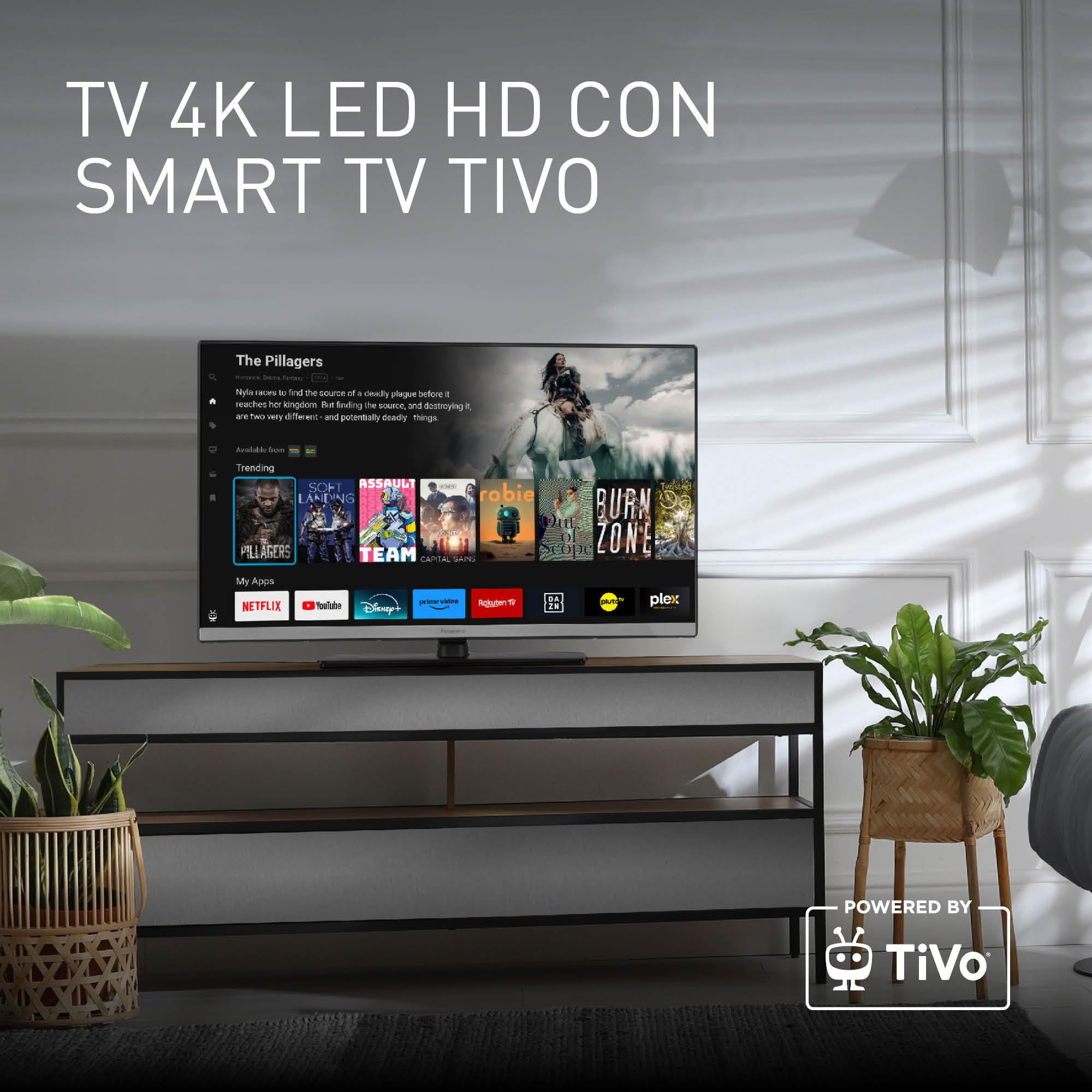 Panasonic TB-24S40AEZC, Serie S40 24 pollici Smart TV LED HD, TiVo, Controllo Vocale Google e Alexa, Game Mode, Media Player, HDR, HDMI, WLAN