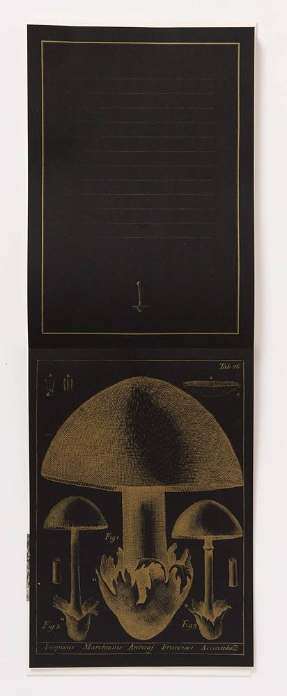 洋書 Mushrooms 100 Writing and Crafting Papers of Mushrooms (PIE 100