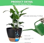 Set de planteur d'eau autonome, 7Pack Pot en plastique moyen avec trous de drainage de mesh et soucoupes de réservoir amovibles, moderne 8+7.5+7+6.5+6+5.5+5 pouce Pots de fleurs d'arrosage du fond pour les plantes intérieures - noir