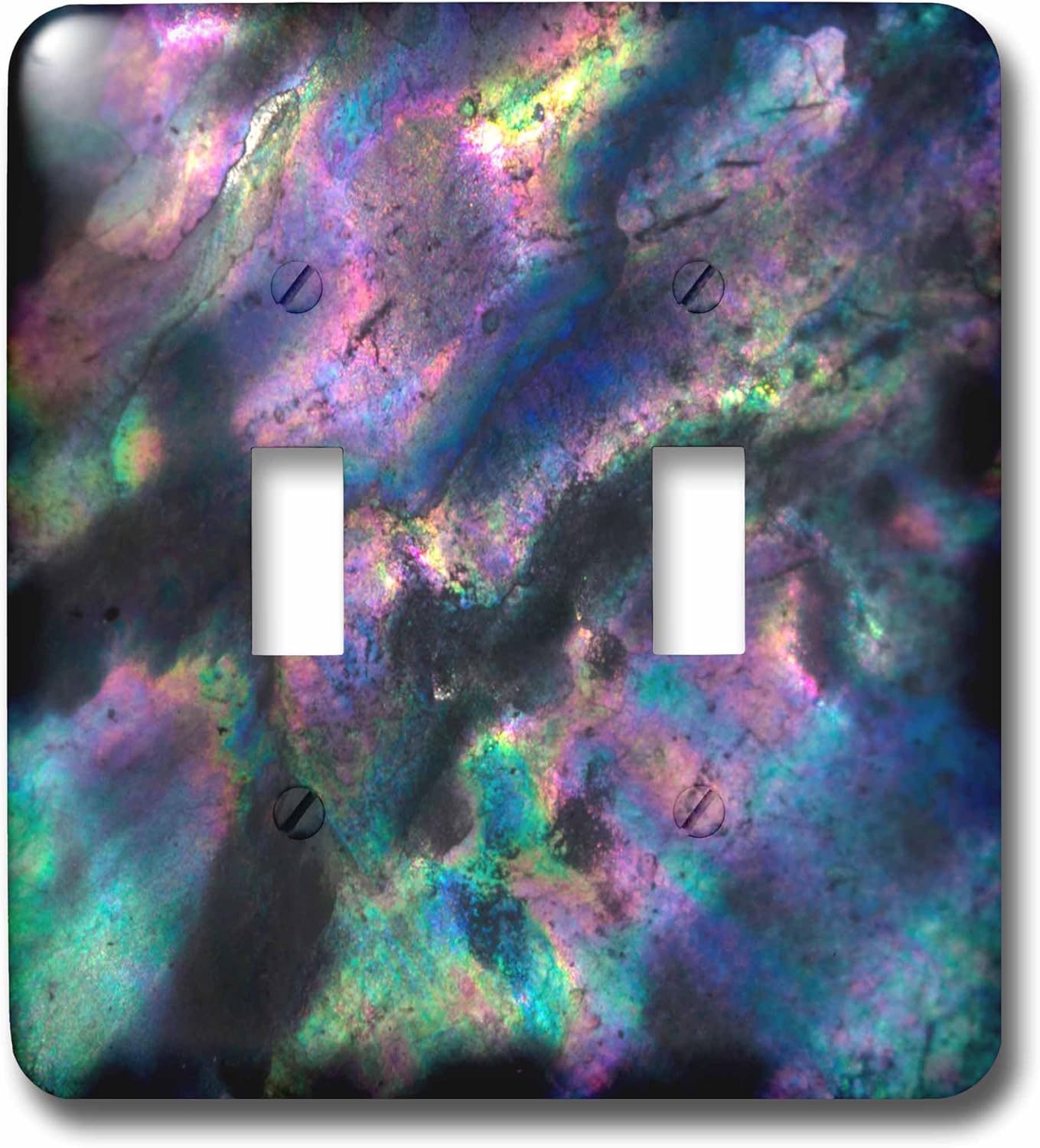 3dRose USA, California. Irridescent Abalone shell double toggle switch