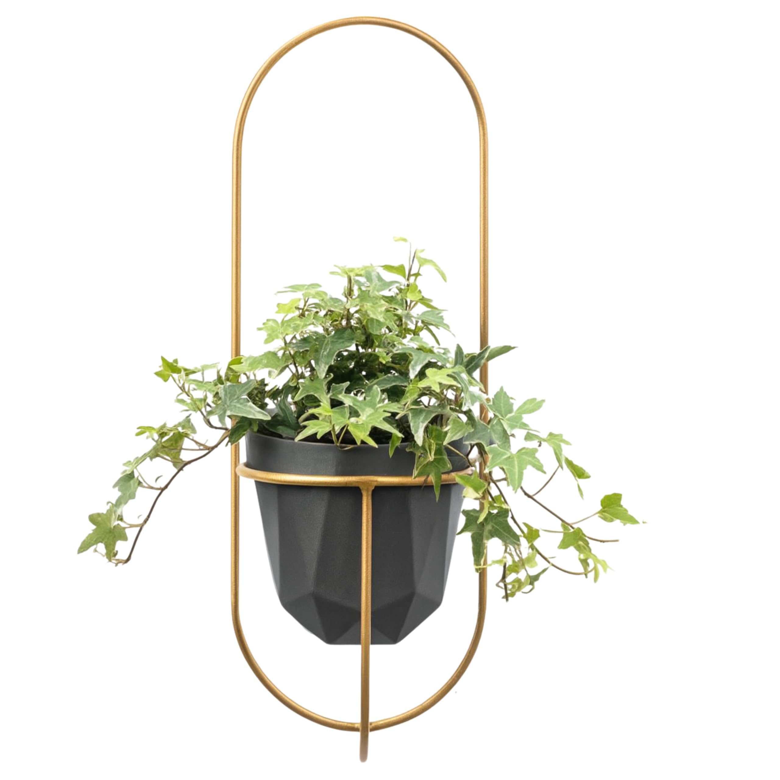 Étagère Murale pour Plantes – Support Suspendu pour Fleurs – En Métal – Décoration Murale Moderne pour Salon, Chambre d’Ado, Cuisine – 18x21x50cm – PIANO Or