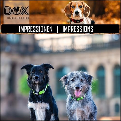 Miniatura 10 de DDOXX Airmesh - Collar para perro  Collares fuertes y ajustables para perros  XS (azul)
