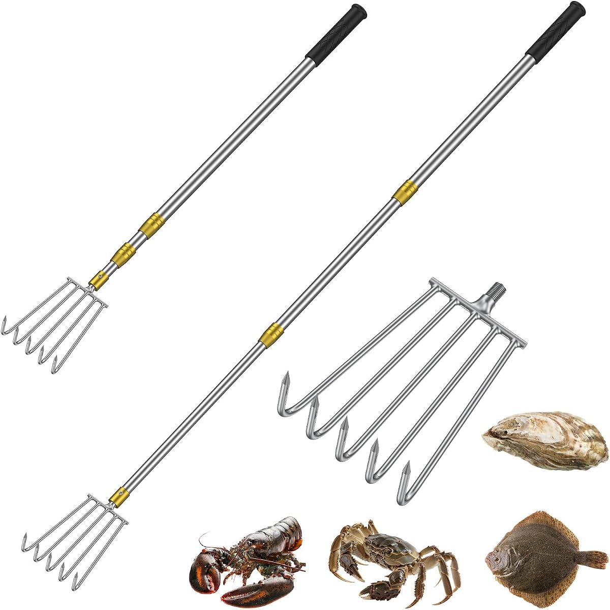 Rastrillo para estanque Pawfly, rastrillo para malas hierbas acuáticas, rastrillo de búsqueda de acero inoxidable, 4/5 púas | Rastrillo de lago, rastrillo de mano telescópico, herramienta de búsqueda al aire libre para pesca, caza y exploración de ranas