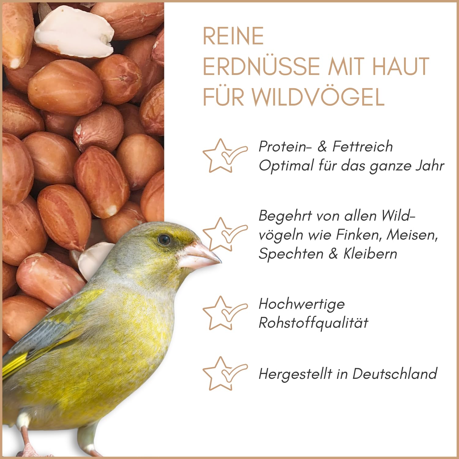 Supravit Erdnüsse rot mit Haut 25 kg – ganze Erdnusskerne als Premium Vogelfutter & Wildvogelfutter | fettreiches Energiefutter & Fettfutter für alle Wildvögel | Erdnüsse für Vögel & Eichhörnchen