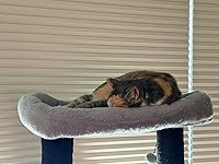 Review Image by JBird