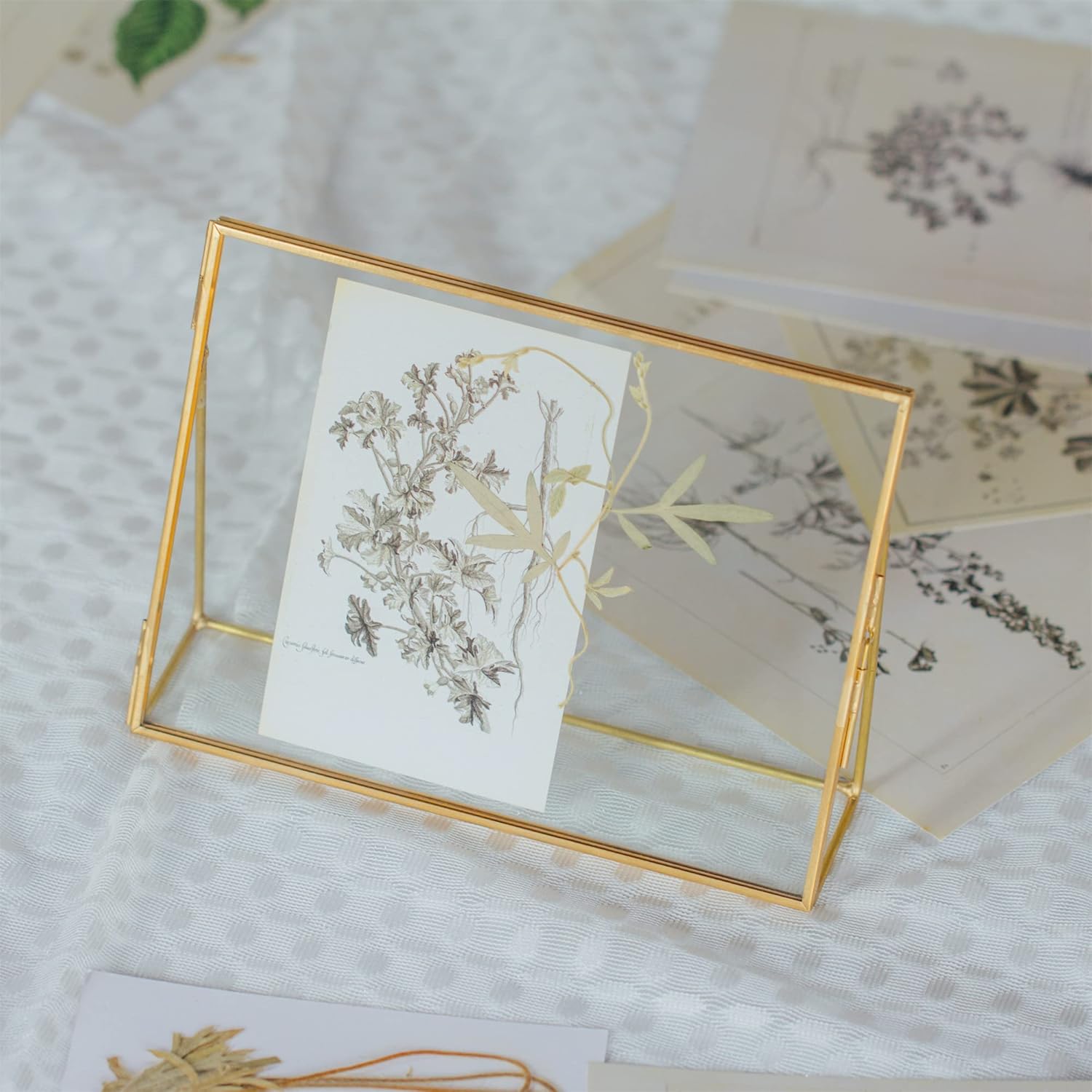 NCYP 8x6 Inches Small Place Card Holder, Wedding Table Signs, Tabletop Gold Glass Frame for Photo Picture, Brass Rectangle Display Frame for Pressed Dried Flowers, Ornament (Glass Frame Only)