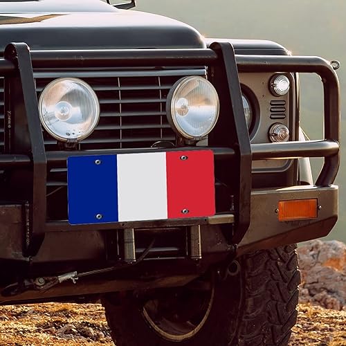 Miniatura 4 de Placa de matrícula de metal con bandera de Francia con bandera nacional de Francia, recuerdo de país, placa frontal decorativa para papá, hombres,