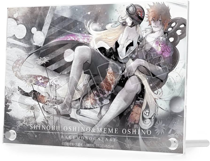 Amazon.co.jp: 漫画『化物語』 忍野忍&忍野メメ 特装版5巻表紙イラスト