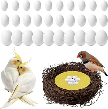 30 Pcs Solid Plastic Bird Eggs 3 Sizes with Woven Nest and Pad, Fake Parrot Eggs to Stop Laying, Dummy Eggs for Budgie, Cockatiel, Pigeon, Quail, Canary, Finch, Pet Bird Hatching Supplies