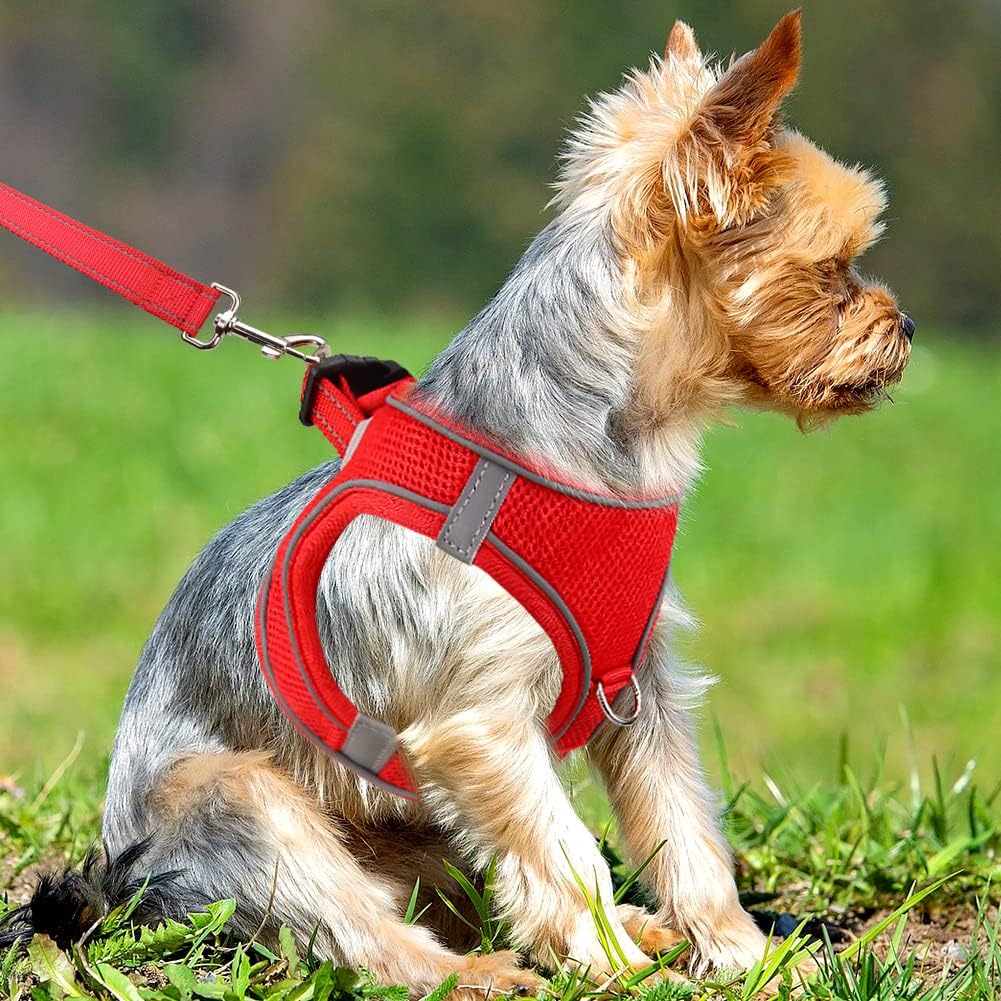 Joytale Step in Dog Harness,Soft Mesh Reflective Breathable Vest Harnesses,Easy Walk Harness with Safety Buckle for Extra Small and Small Dogs,S,Red - Image 3