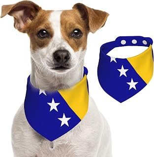Bosnian Flag Pet Double Sided Triangle Scarf Dog Dining Bib Cat Hygiene Bandana