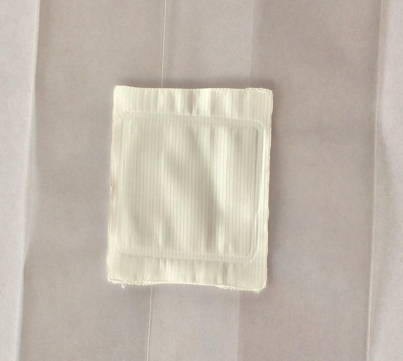 Mushroom Grow or Spawn Bag Large with .2 Micron Filter 100 Count