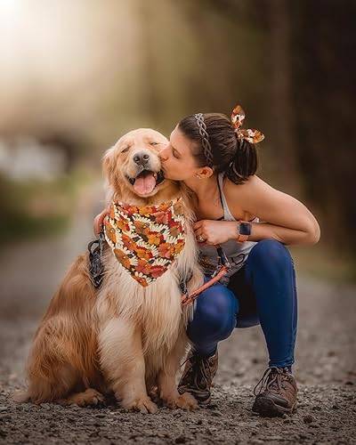 Miniatura 5 de Bandanas para perro de Acción de Gracias con pajarita a juego, juego de baberos triangulares para otoño y otoño, accesorios para perros y mascotas