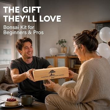 AVERGO Bonsai Tree Kit Classic - 4X Unique Japanese Bonzai Trees | Complete Indoor Bonsai Starter Kits for Growing Trees DIY Gardening Gifts for Mother, Women & Men