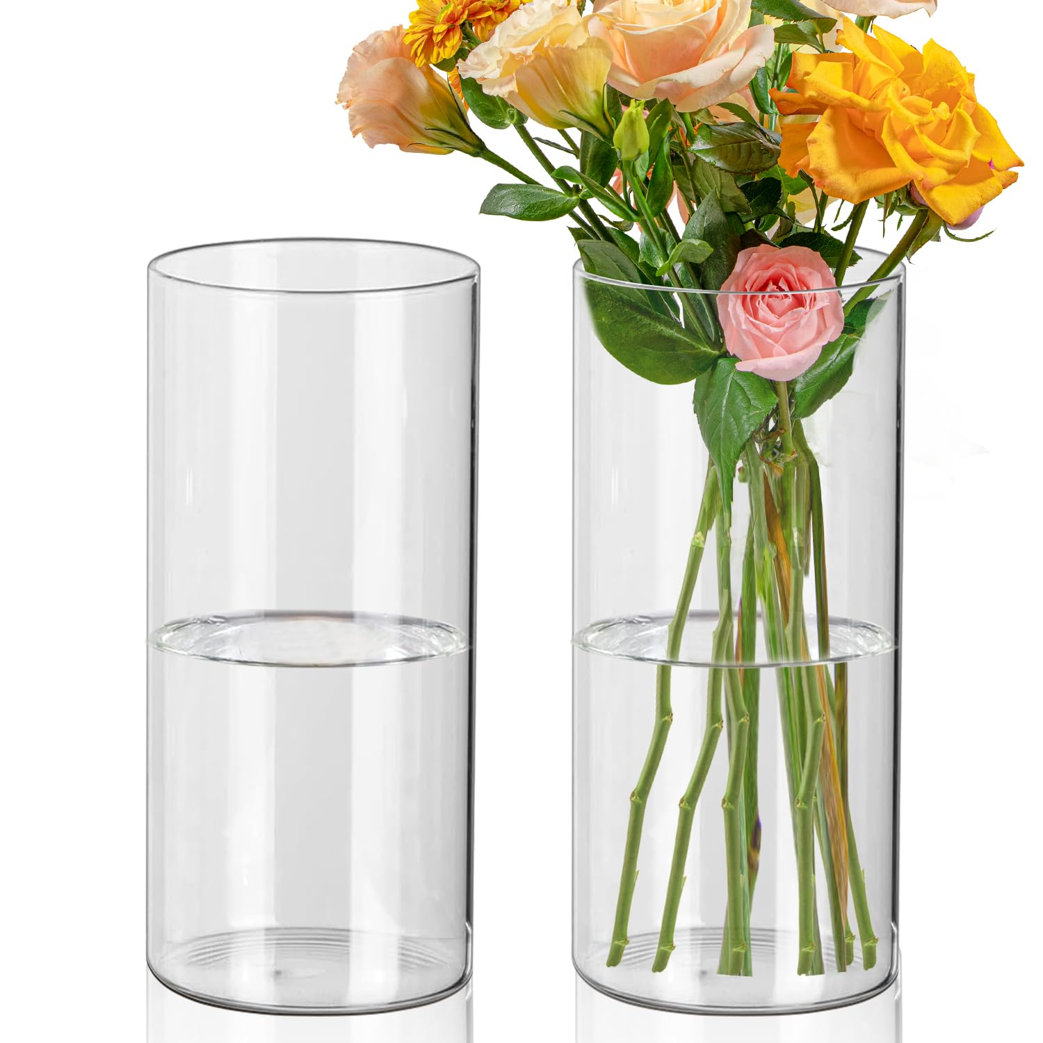 Glazen Vaas Cilinder - Helder Decoratieve Vaas 20x20 Cm | Grote Glazen Pot Voor Bloemen En Woonkamer Decoratie