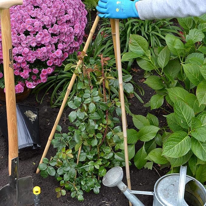 Suinga Pack 200 Tutores de Bambú 200 cm (10-12 mm) - Varillas Resistentes para Plantas, Árboles y Hortalizas | Soporte para Plantas, Tomates | Tutores para Plantas trepadoras