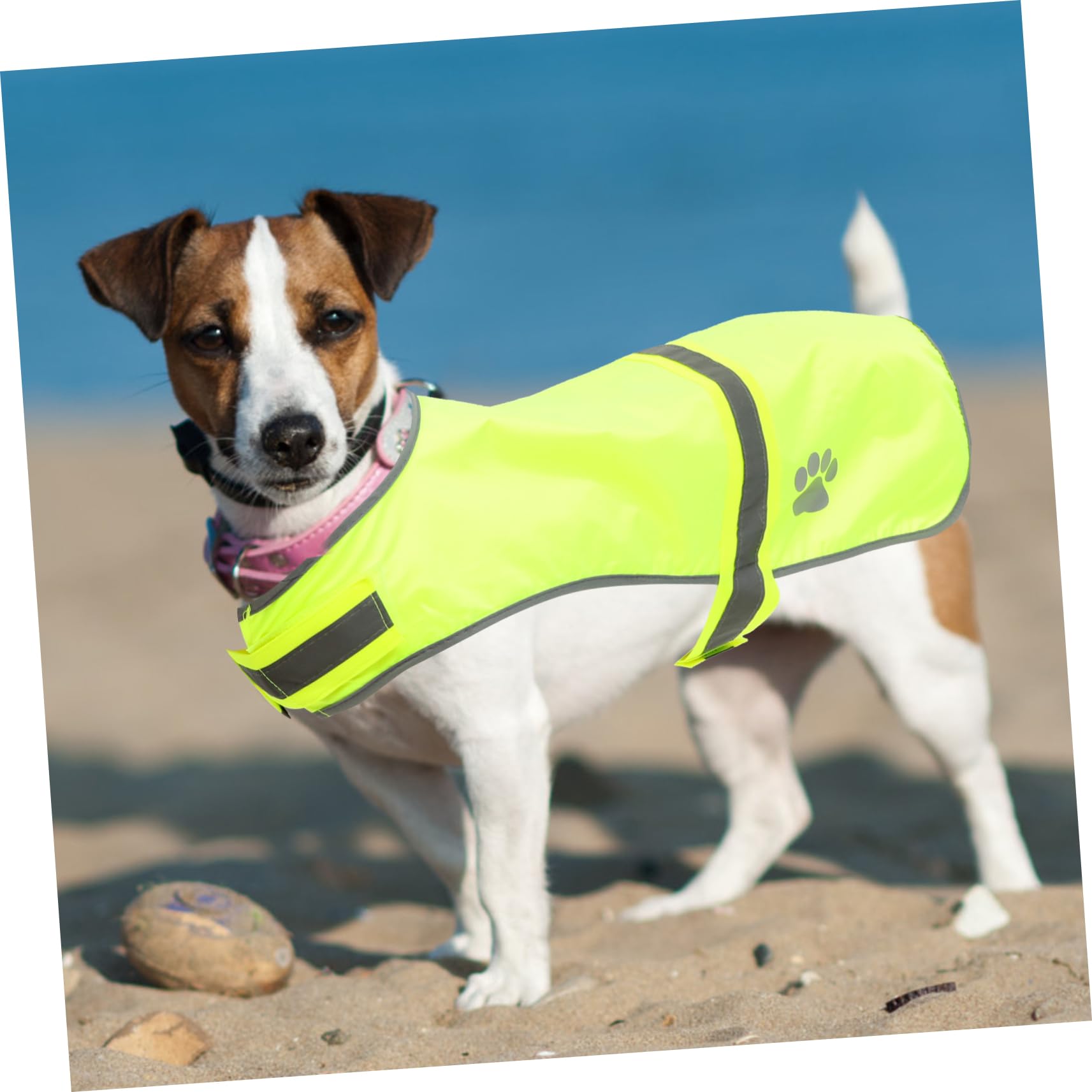 Housoutil 4 Stücke Hund Weste Reflektierende Weste Für Hunde Haustier Bekleidung Atmungsaktive Mesh Oxford Stoff Verstellbaren Trägern Modische