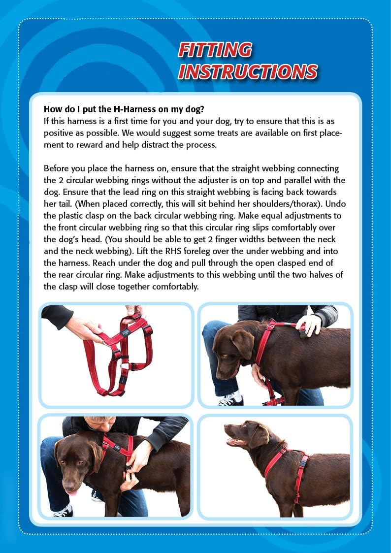 Reflective Adjustable Dog H Harness for Small to Medium Dogs; matching collar and leash available, Turquoise