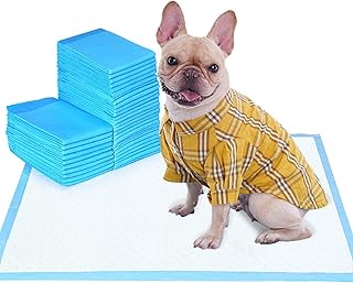 Puppy Pads and Dog Pee Pads 22"x22" - 100 Count Regular Size - Super Absorbent & Leak-Free Wee Wee Pads for Dogs and Pet Training Pads