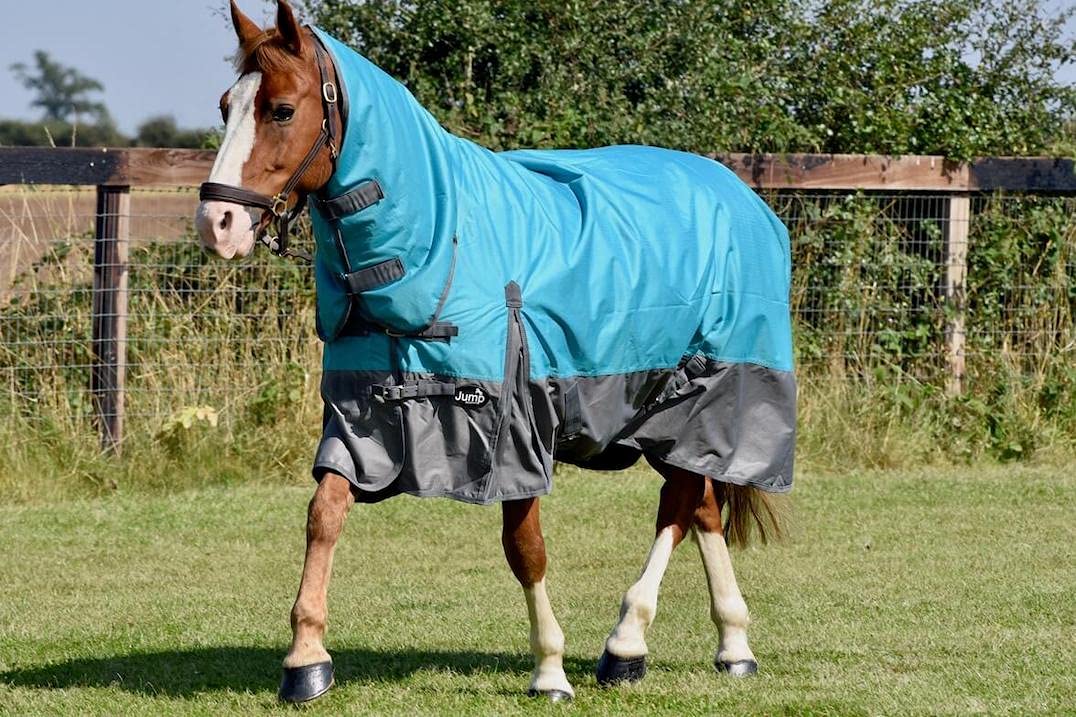 JUMP EQUESTRIAN TURNOUT RUGS FOR HORSES 100G FILL COMBO NECK WATERPROOF TURNOUT RUG 600 D (6'6'', TEAL/GREY)