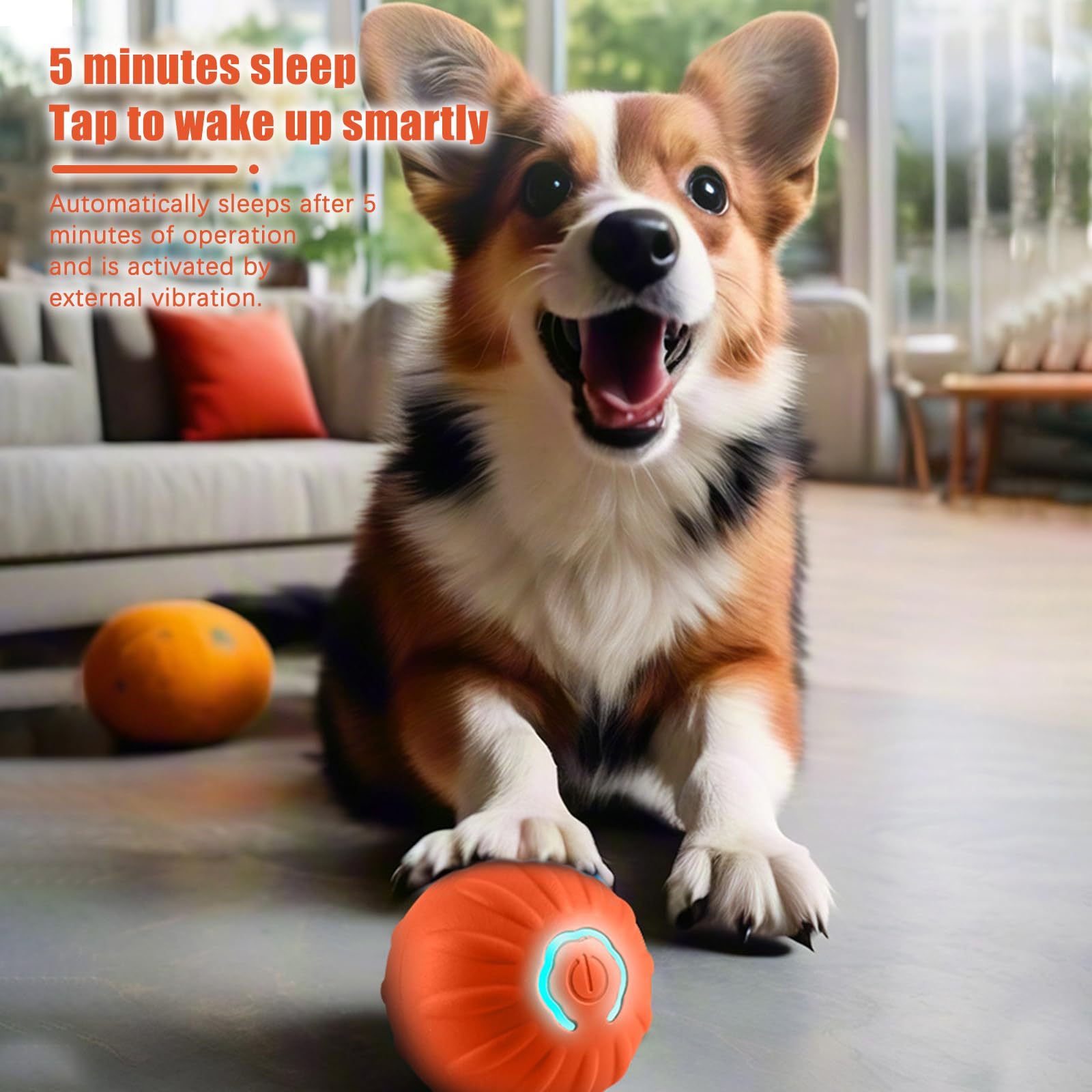 Liameph Interactive Dog Ball, Rechargeable Automatic Rolling Pet Toy with LED Flashlight - Image 4