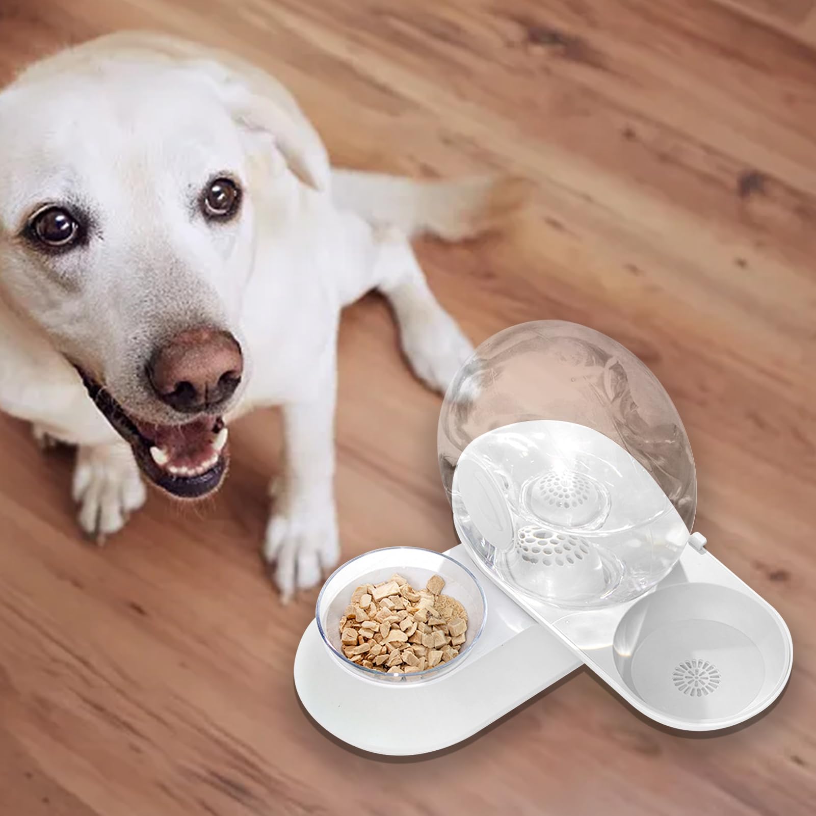 Bebedero para Perros Bebedero de Sifón a Prueba de Derrames con para | Dispensador Automático de Agua para Perros Para Gatitos, Conejos y Todo Tipo de Animales de Todas las Razas