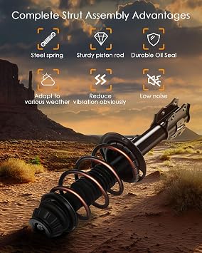 Front Complete Strut Assembly Compatible for Scion for xD 2008-2010, 2PCS Shocks and Struts 172442 172442